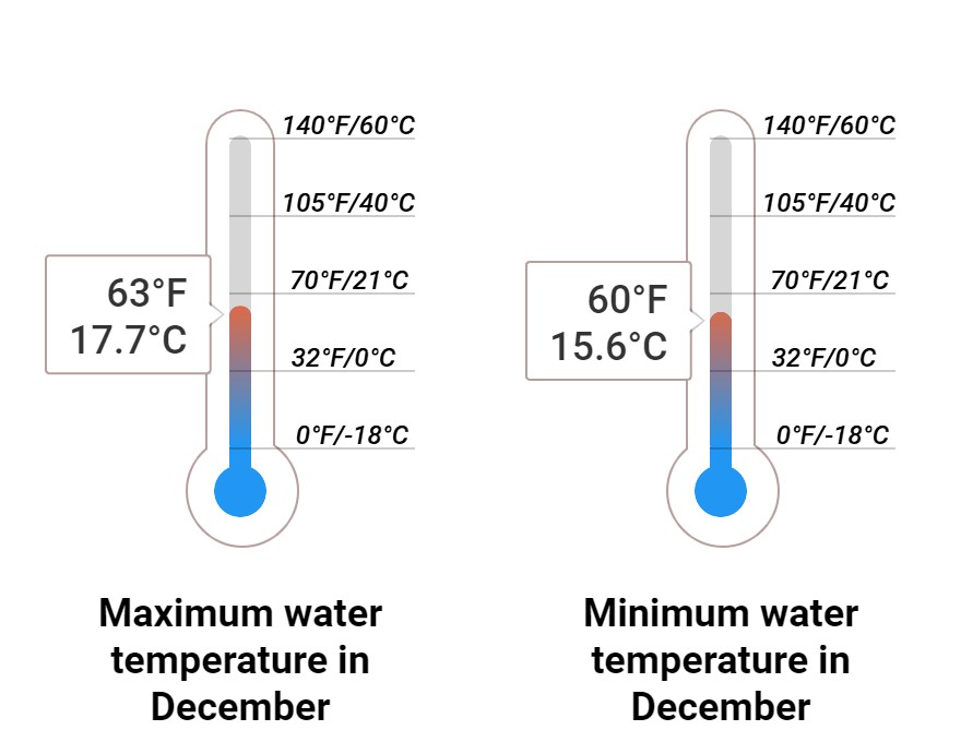 Average Sea temperature